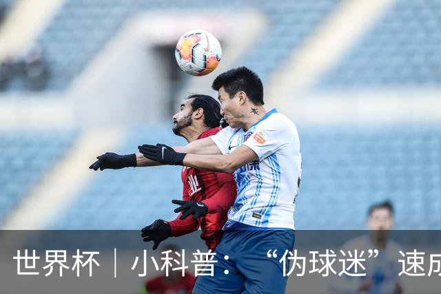世界杯｜小科普：“伪球迷”速成手册