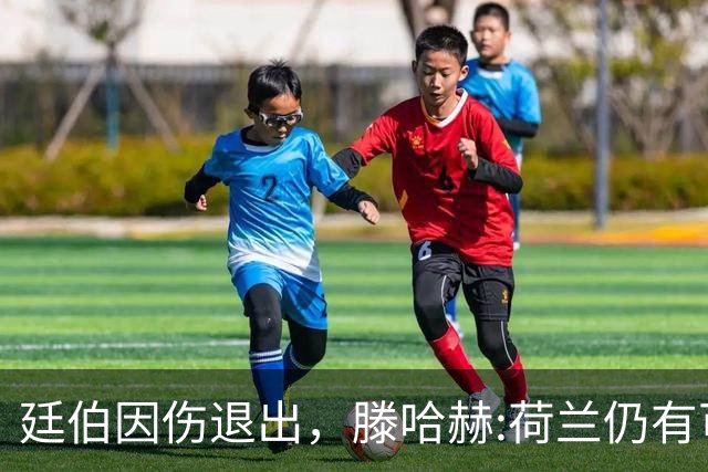廷伯因伤退出，滕哈赫:荷兰仍有可能进决赛 但失去核心之一很痛苦