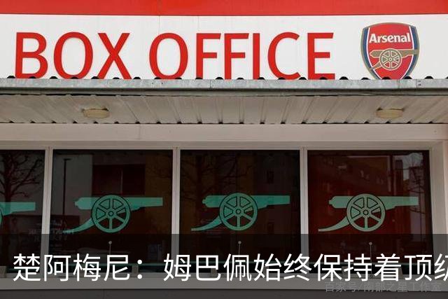 楚阿梅尼：姆巴佩始终保持着顶级水准，他总能在关键战中挺身而出